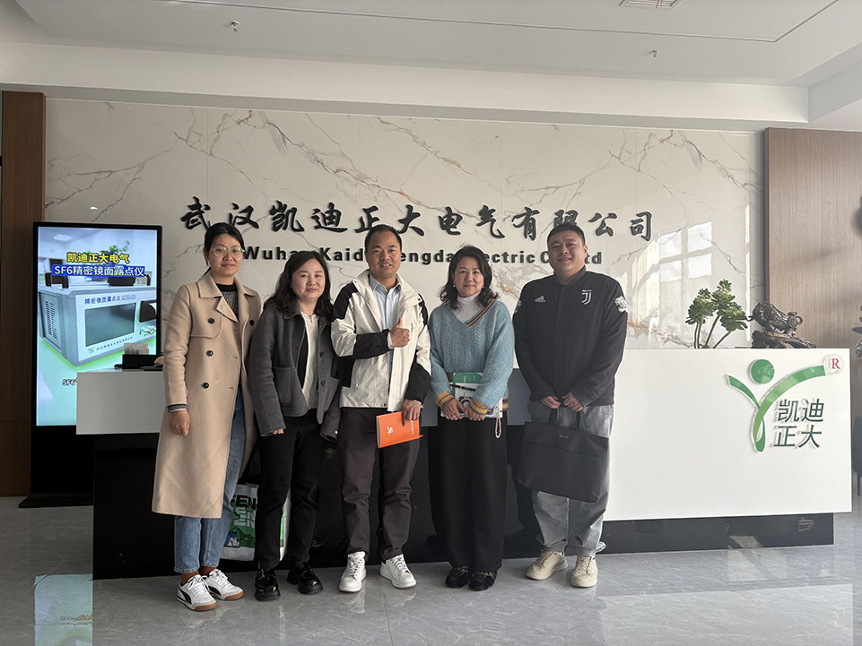 <strong>熱烈歡迎東西湖區商務局領導和金銀湖街道工作人員走訪我司</strong>